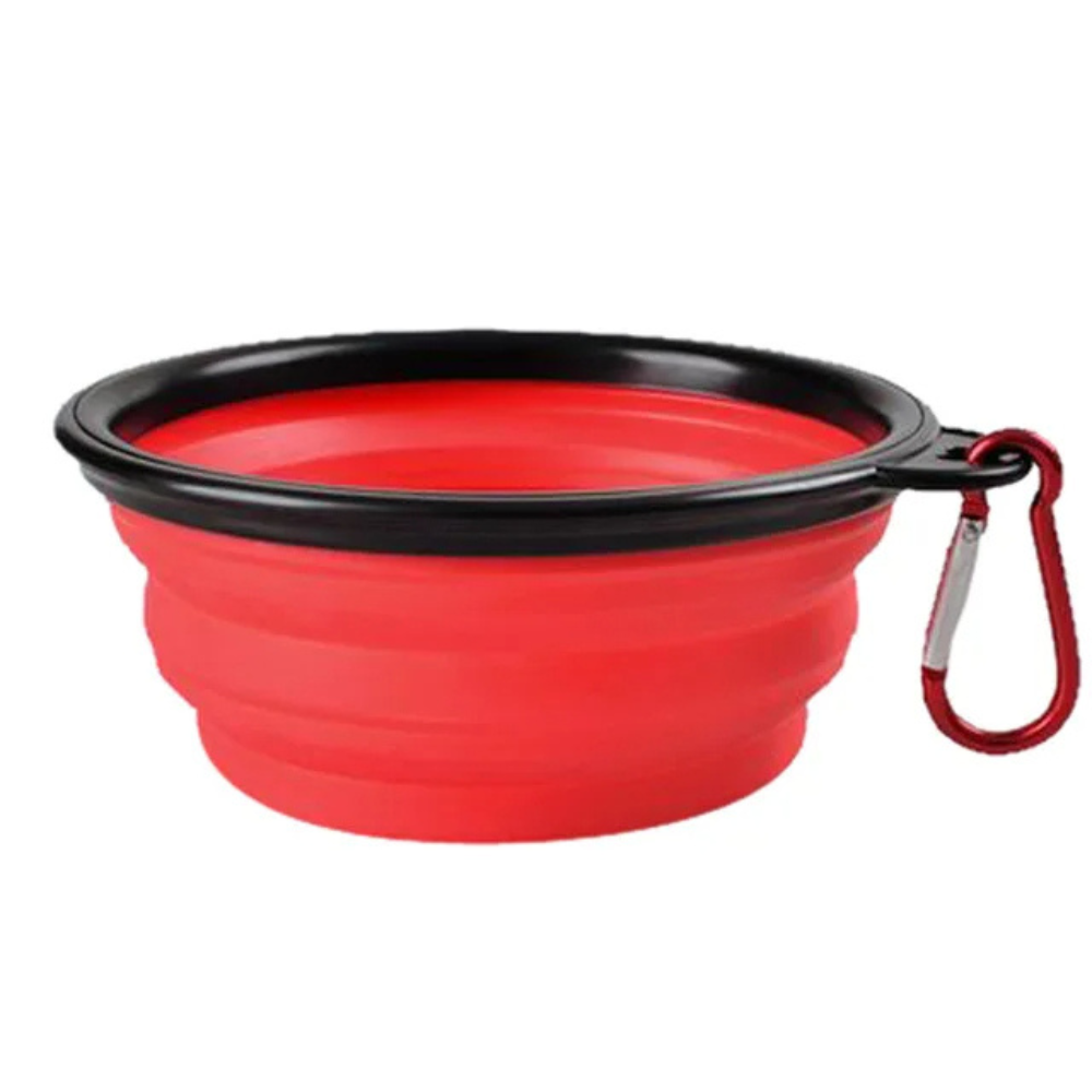Gamelle pliable en silicone pour chien et chat – Voyage, camping et promenade