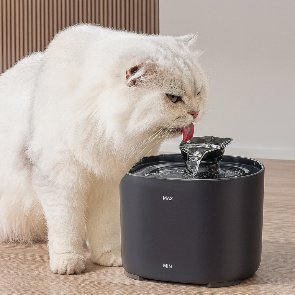 Fontaine à eau AquaPure 2,2L pour chat – Ultra-silencieuse et rechargeable USB