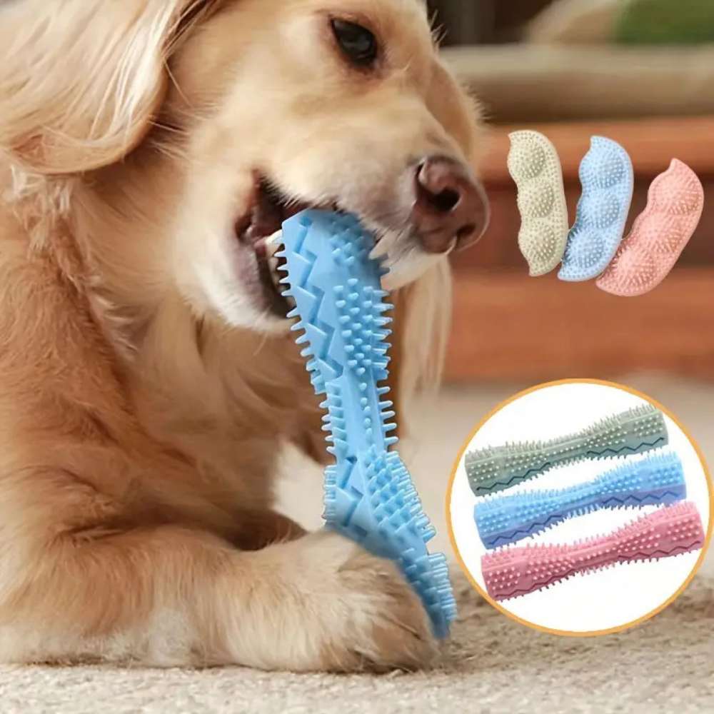 Bâtonnet dentaire en caoutchouc souple pour chiens – Jouet de mastication et nettoyage