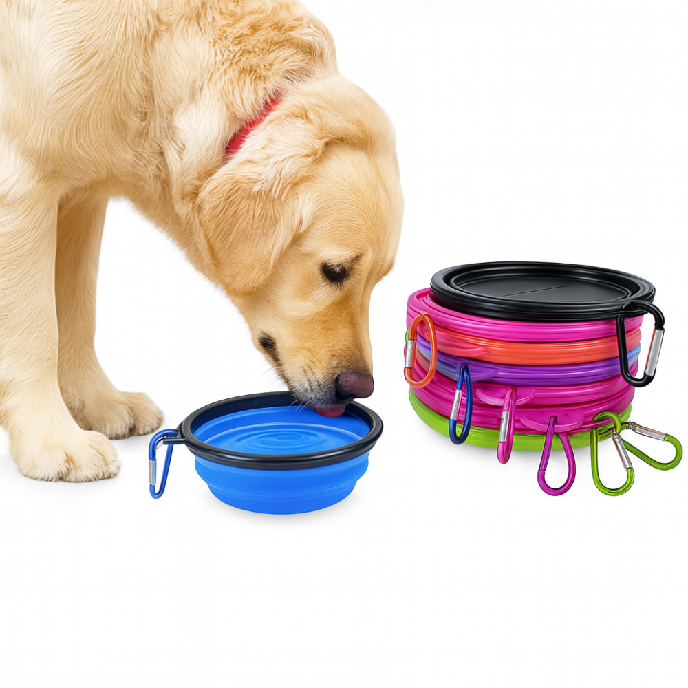 Gamelle pliable en silicone pour chien et chat – Voyage, camping et promenade