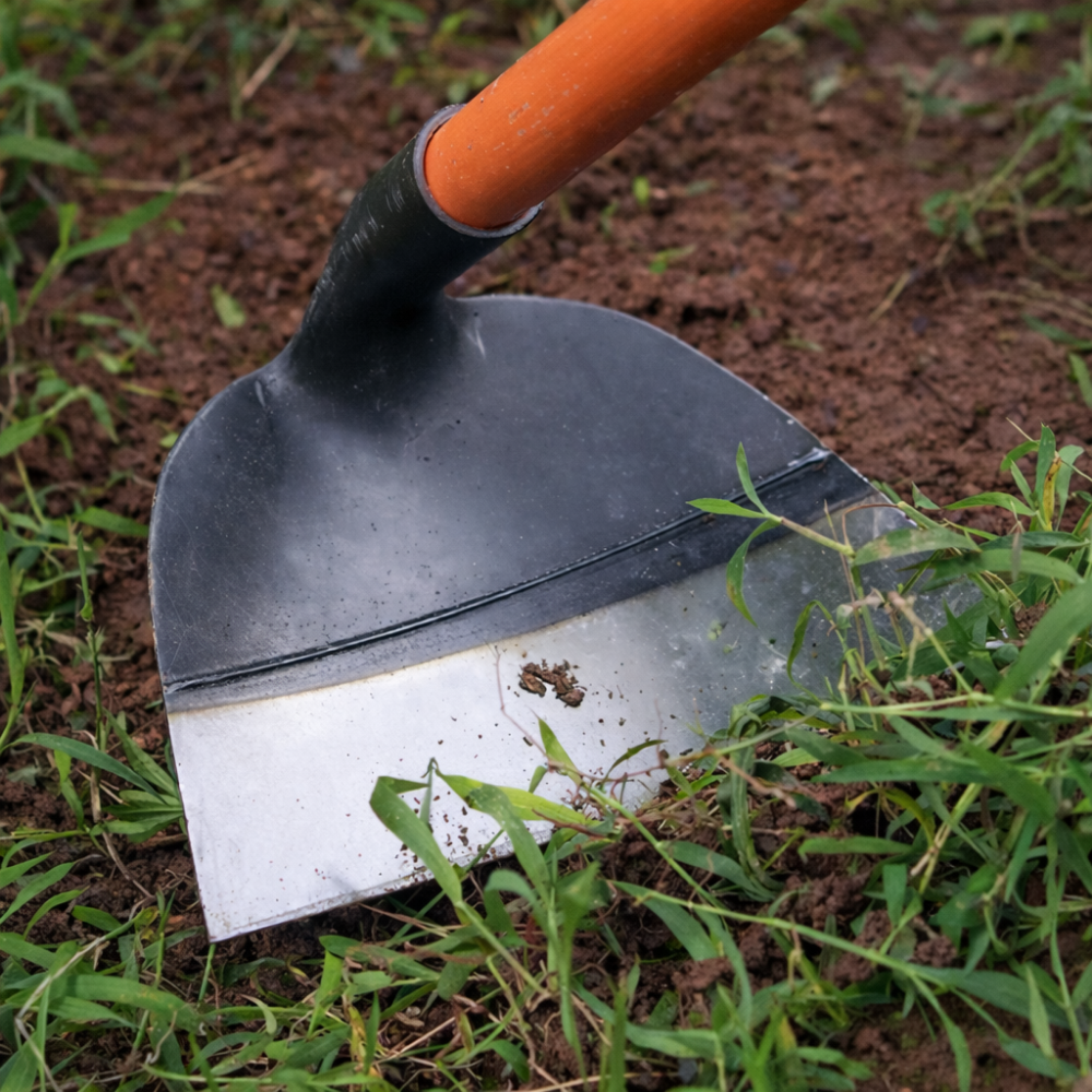 Houe de jardin en acier pour désherbage et aération du sol – Outil manuel robuste sans manche