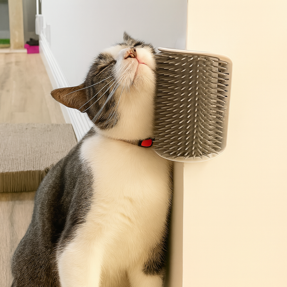Brosse murale massante pour chat – Auto-toilettage et élimination des poils