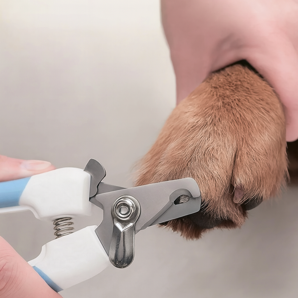 Coupe-griffes ergonomique pour chien et chat – Sécurité et confort de toilettage