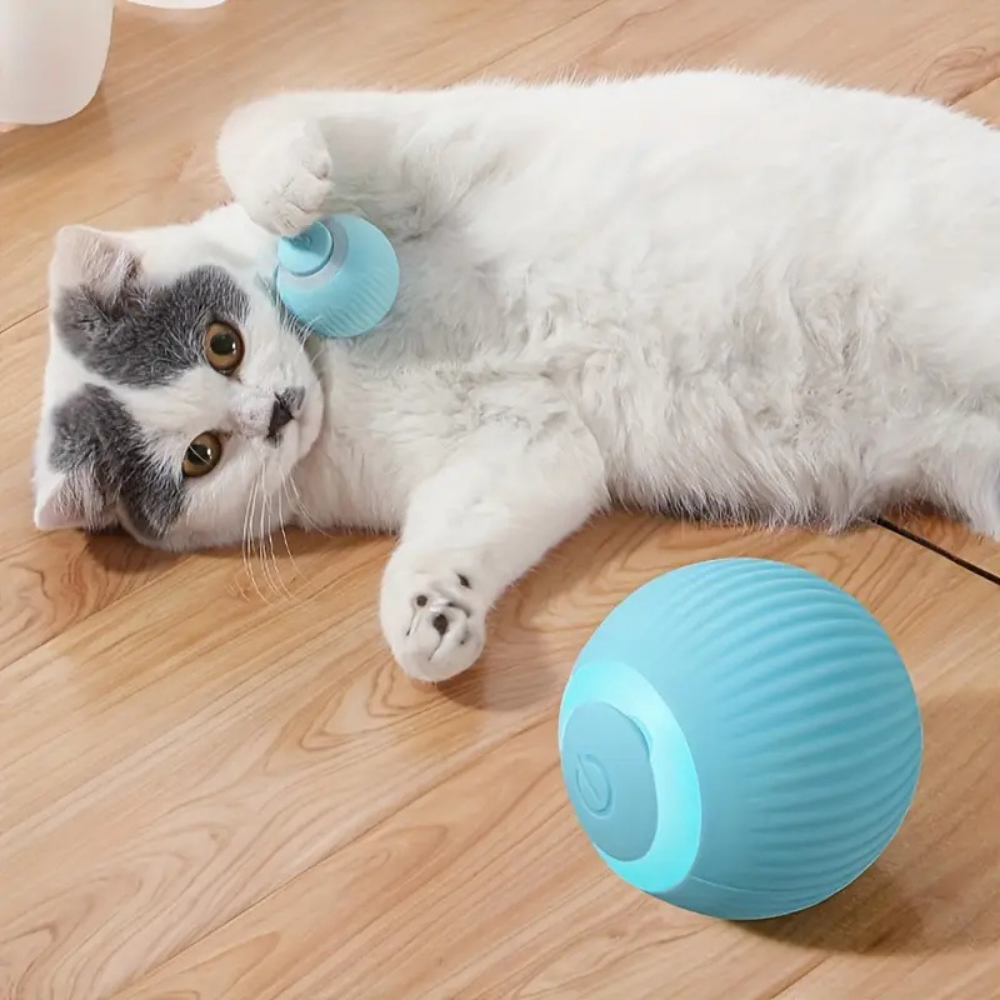 Balle interactive automatique pour chat – Jouet lumineux et stimulant