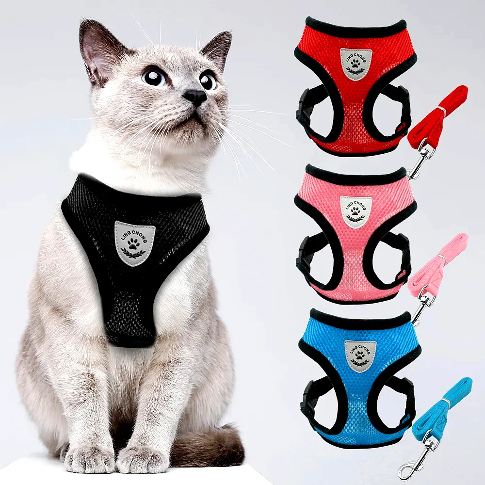 Harnais réglable avec laisse pour chat – Sécurité et confort en promenade