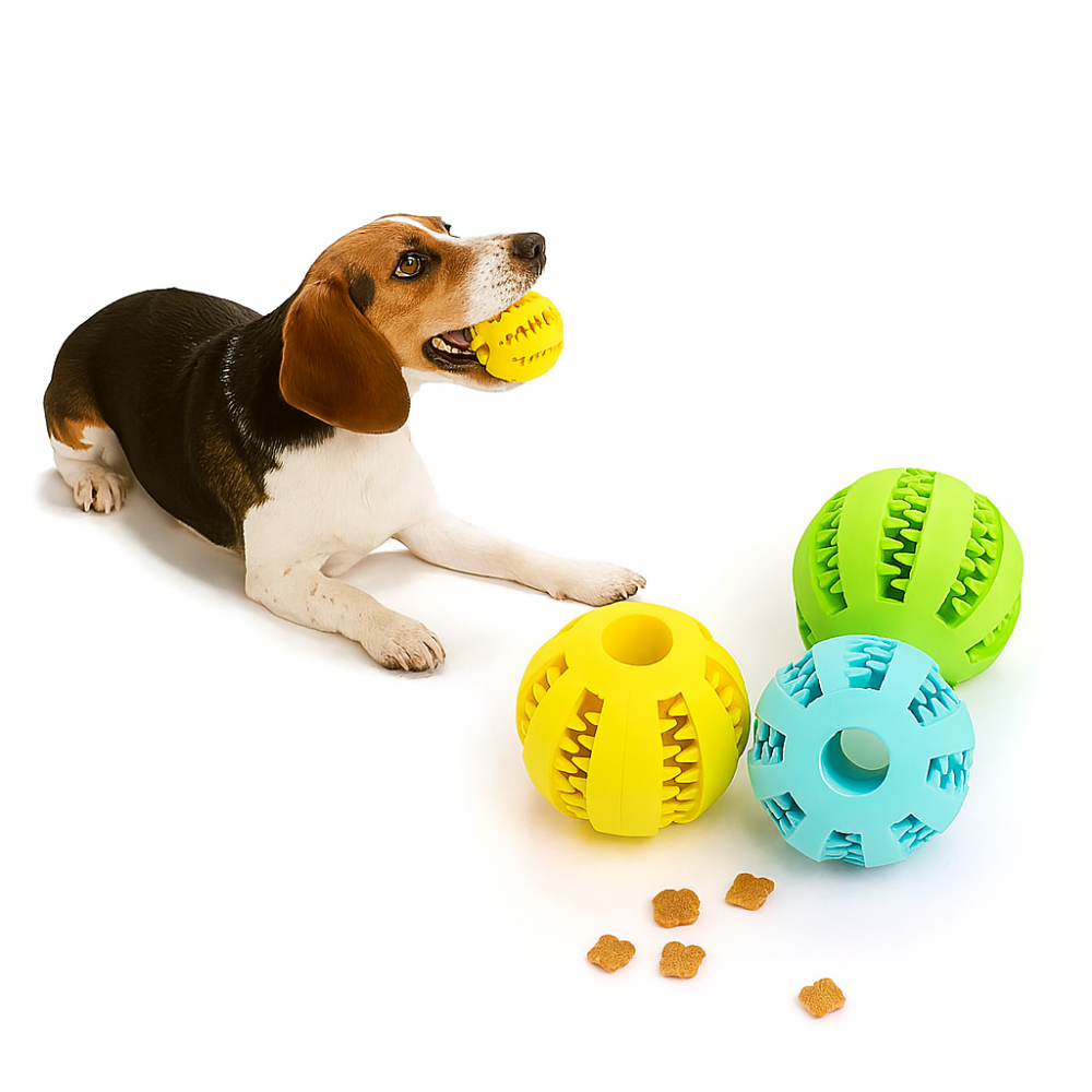 Balle en caoutchouc solide pour chien – Jouet à mâcher et nettoyage dentaire