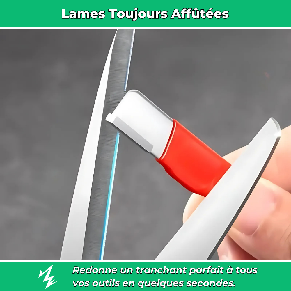 Aiguiseur Multifonctions – Tranchant Parfait pour Outils de Jardin, Couteaux et Plus