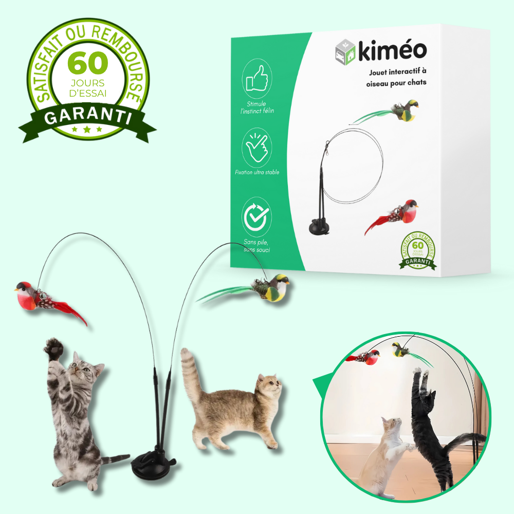 Jouet interactif pour chat avec oiseau – Stimule l’activité et la chasse