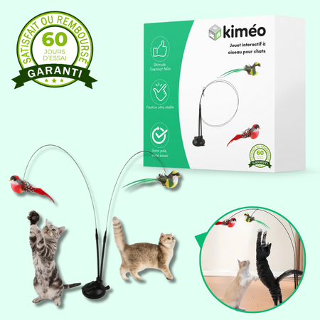 Jouet interactif pour chat avec oiseau – Stimule l’activité et la chasse