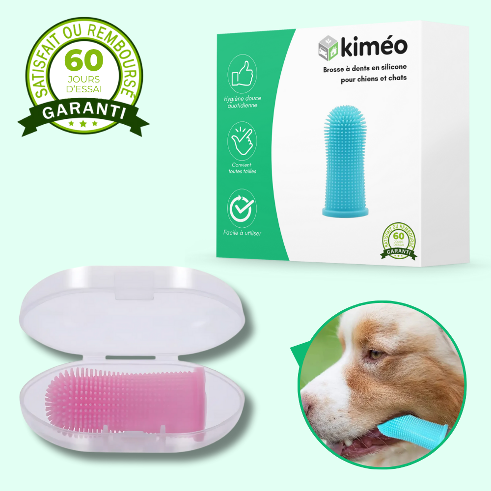 Brosse à dents en silicone pour chiens et chats – Hygiène dentaire et gencives saines