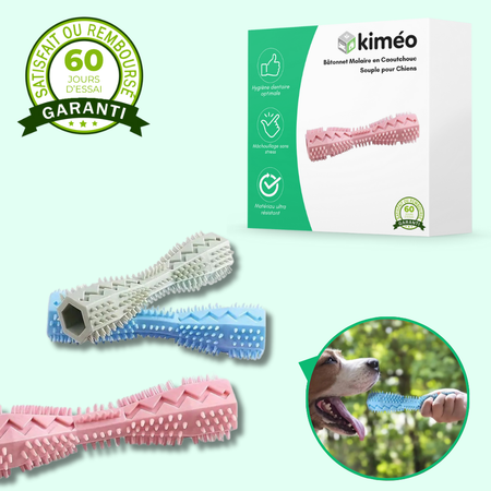 Bâtonnet dentaire en caoutchouc souple pour chiens – Jouet de mastication et nettoyage