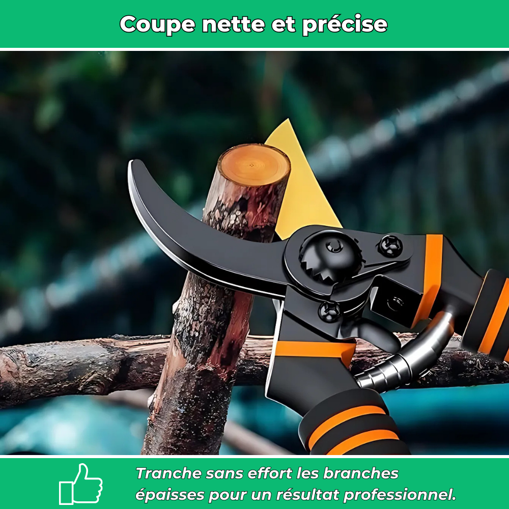 Sécateur Tranchant en Titane – Coupe Précise et Durable pour Jardinage Intensif