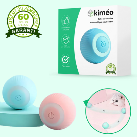 Balle interactive automatique pour chat – Jouet lumineux et stimulant