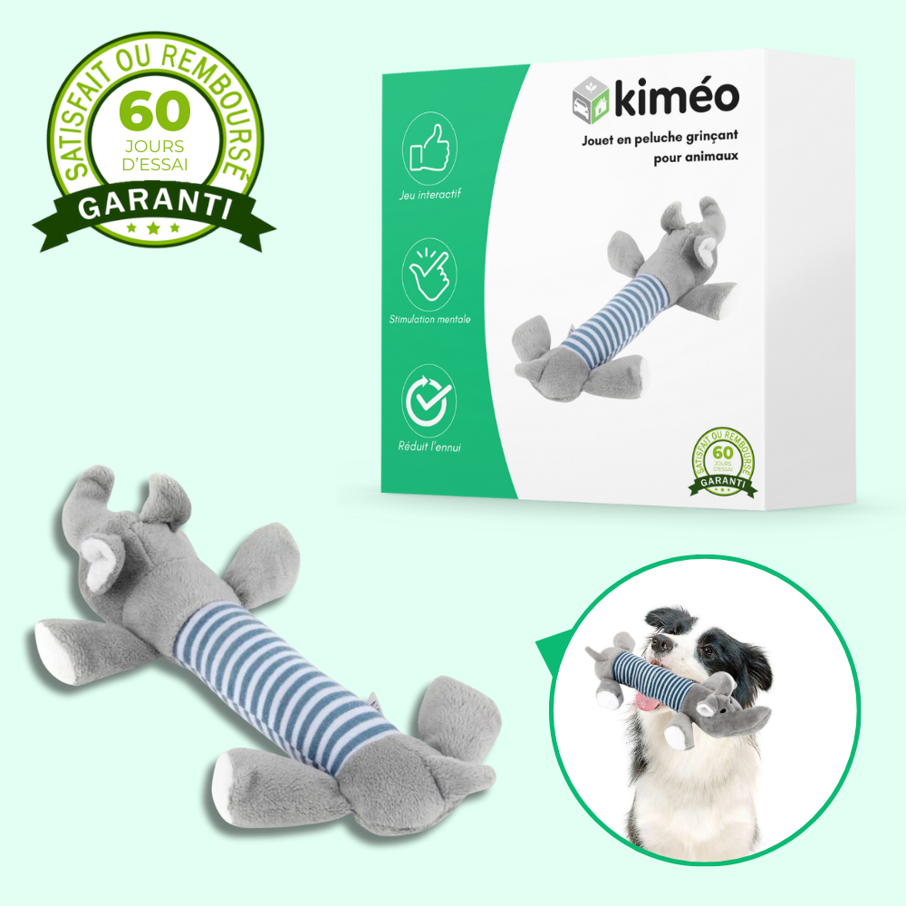 Jouet en peluche sonore pour chien – Résistant et stimulant