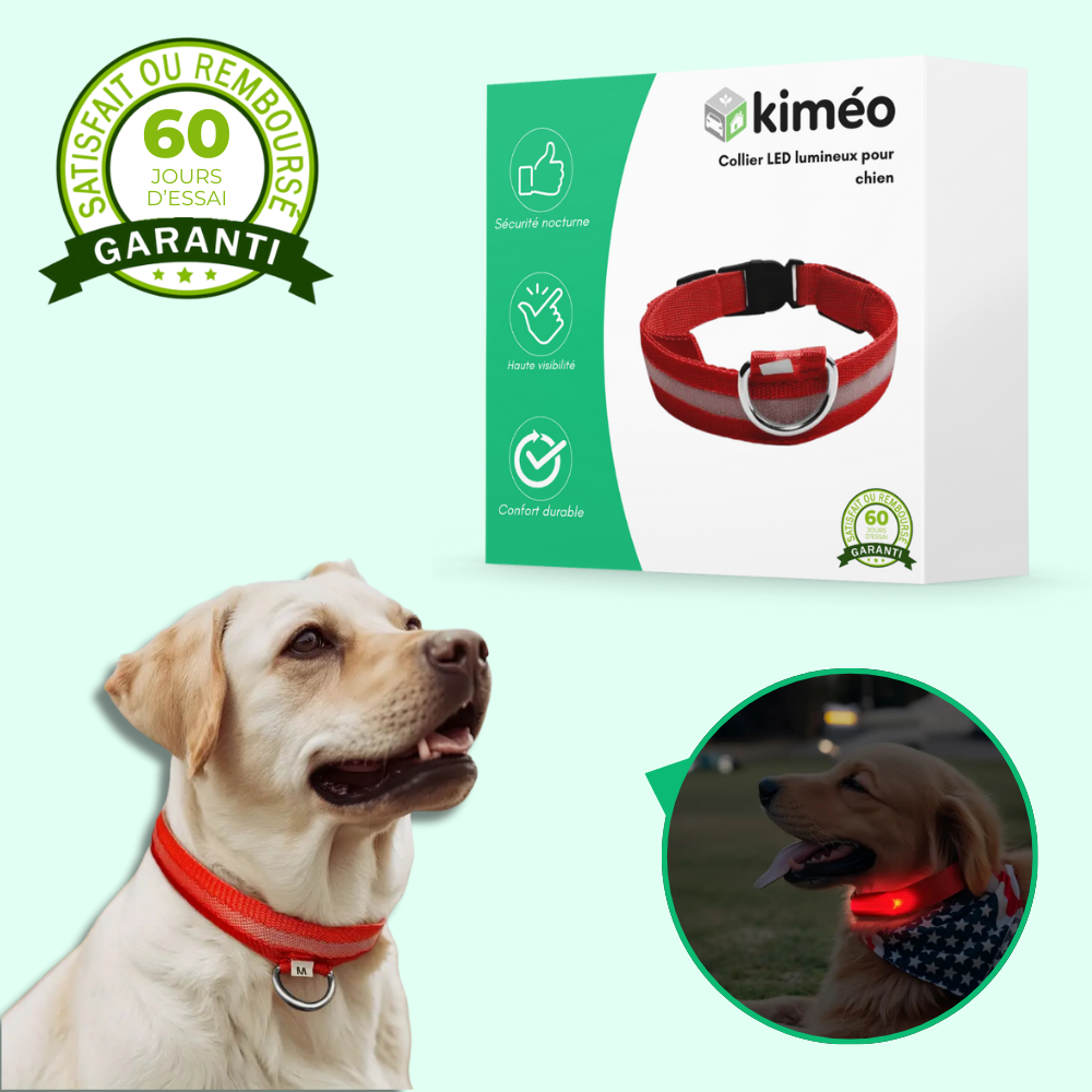 Collier lumineux LED pour chien – Sécurité de nuit et visibilité renforcée