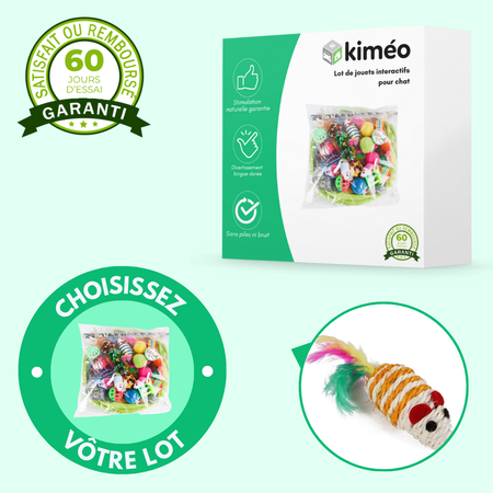 Lot de jouets interactifs pour chat – Stimule la chasse et l’activité quotidienne