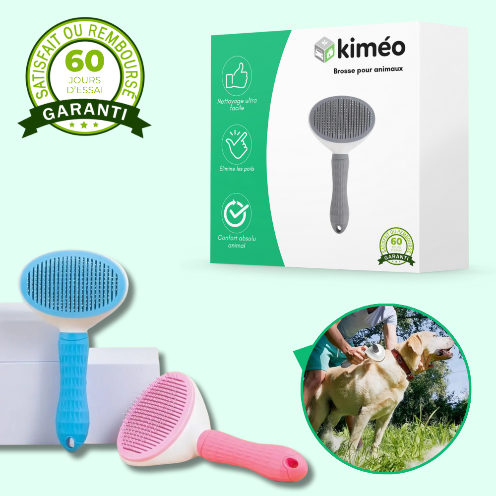 Brosse de toilettage pour chiens et chats – Anti-poils et facile à nettoyer