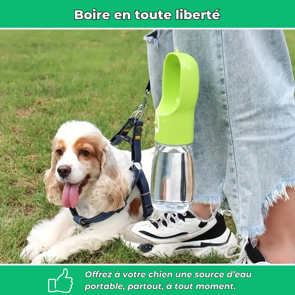 Gourde de voyage avec bol intégré pour chien – Hydratation pratique en extérieur