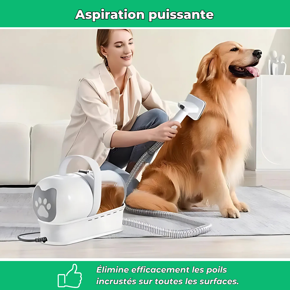 Aspirateur portable anti-poils – Élimine poils de chiens et chats sur tissus et meubles