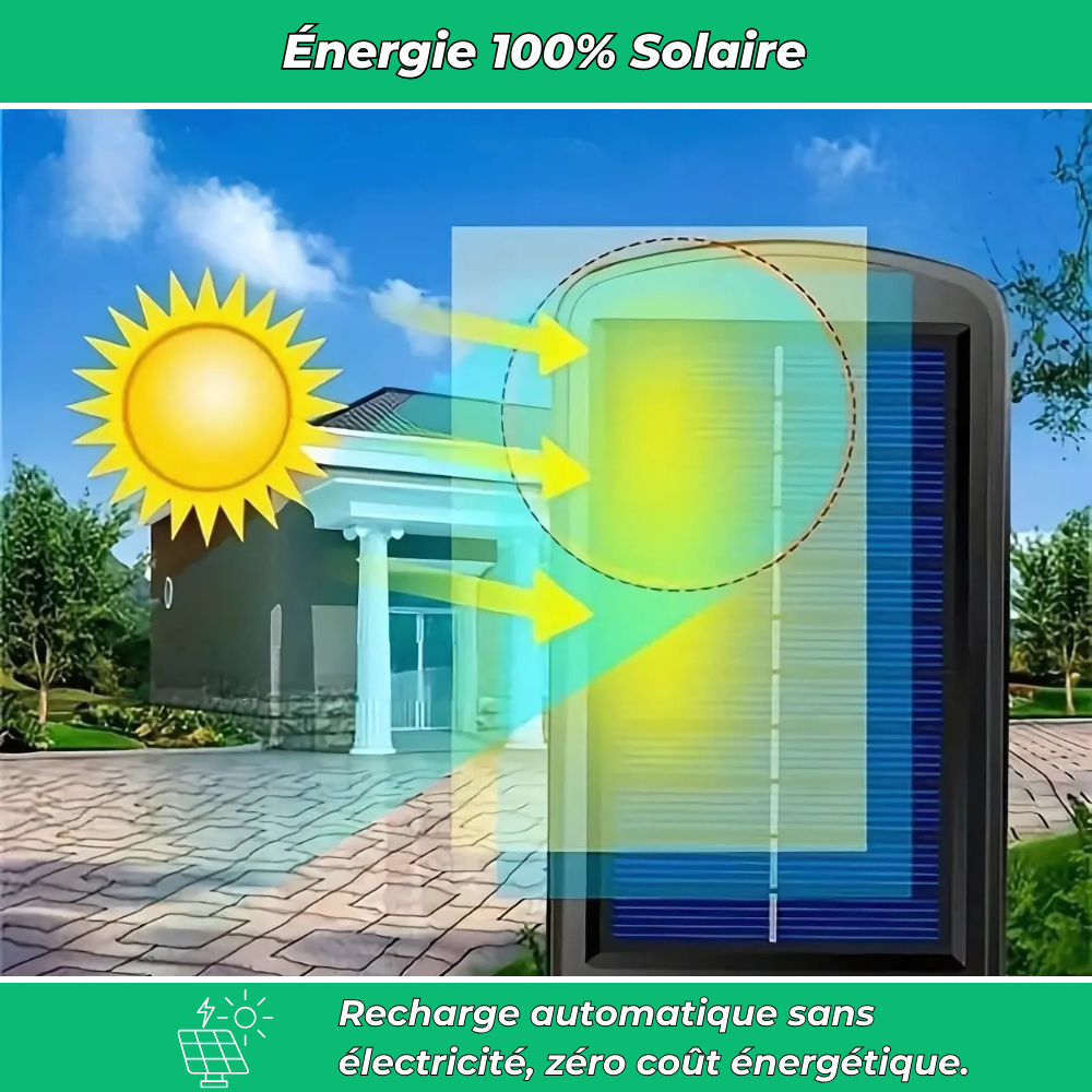 Lampe Solaire murale à Détection – Éclairage Extérieur Écologique avec Capteur de Mouvement