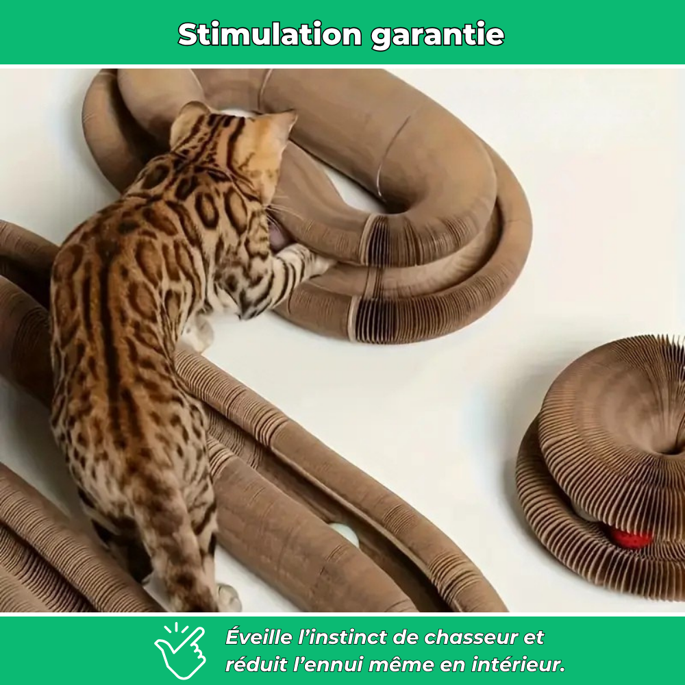 Griffoir en carton modulable pour chats – Jouet d’intérieur et anti-stress