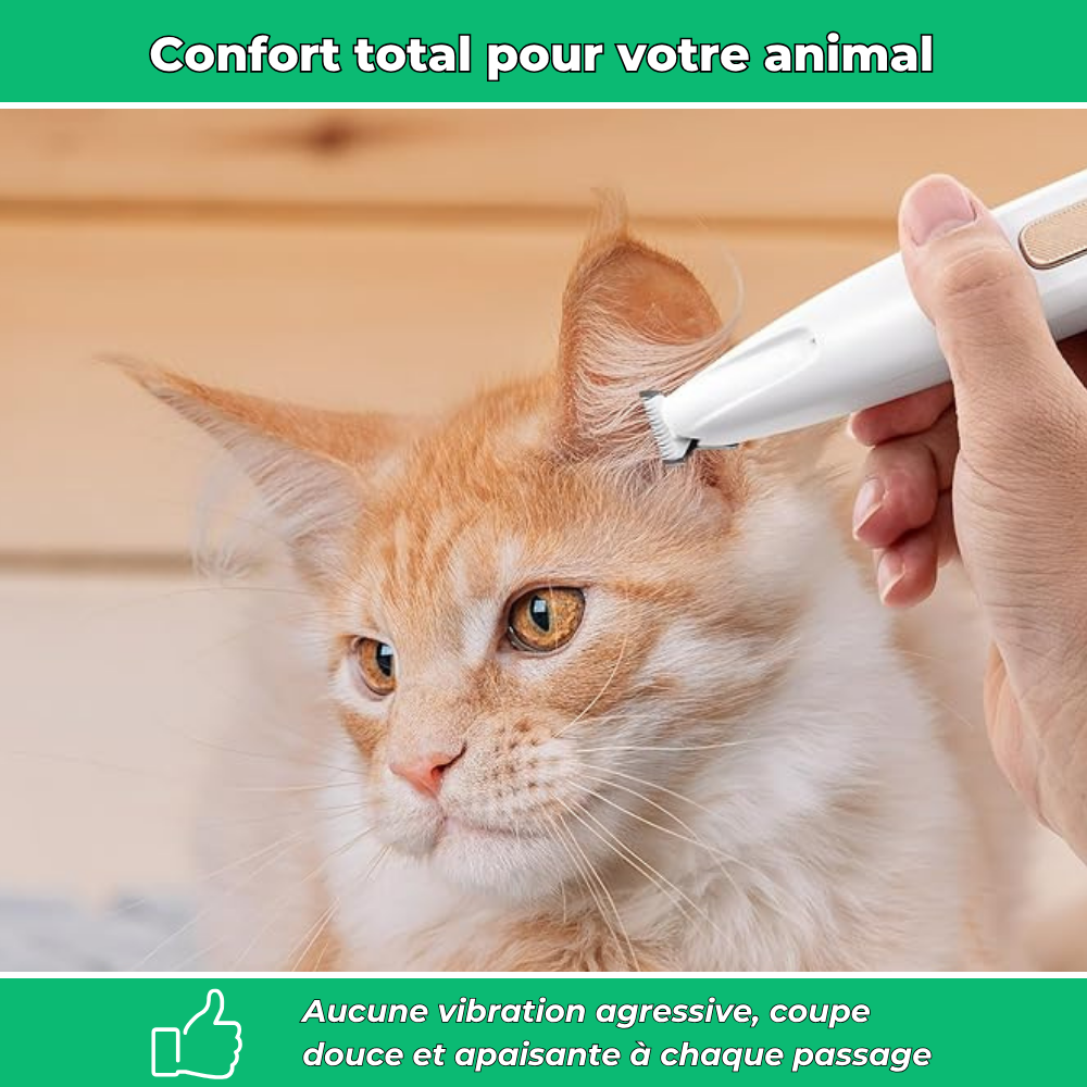 Tondeuse électrique silencieuse pour chiens et chats – Toilettage multi-zones sans stress