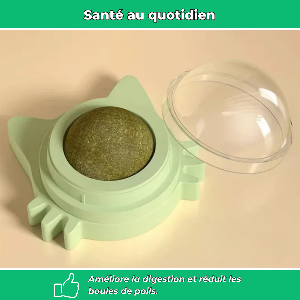 Sucette murale VetiPure à l’herbe à chat – Jouet relaxant et stimulant