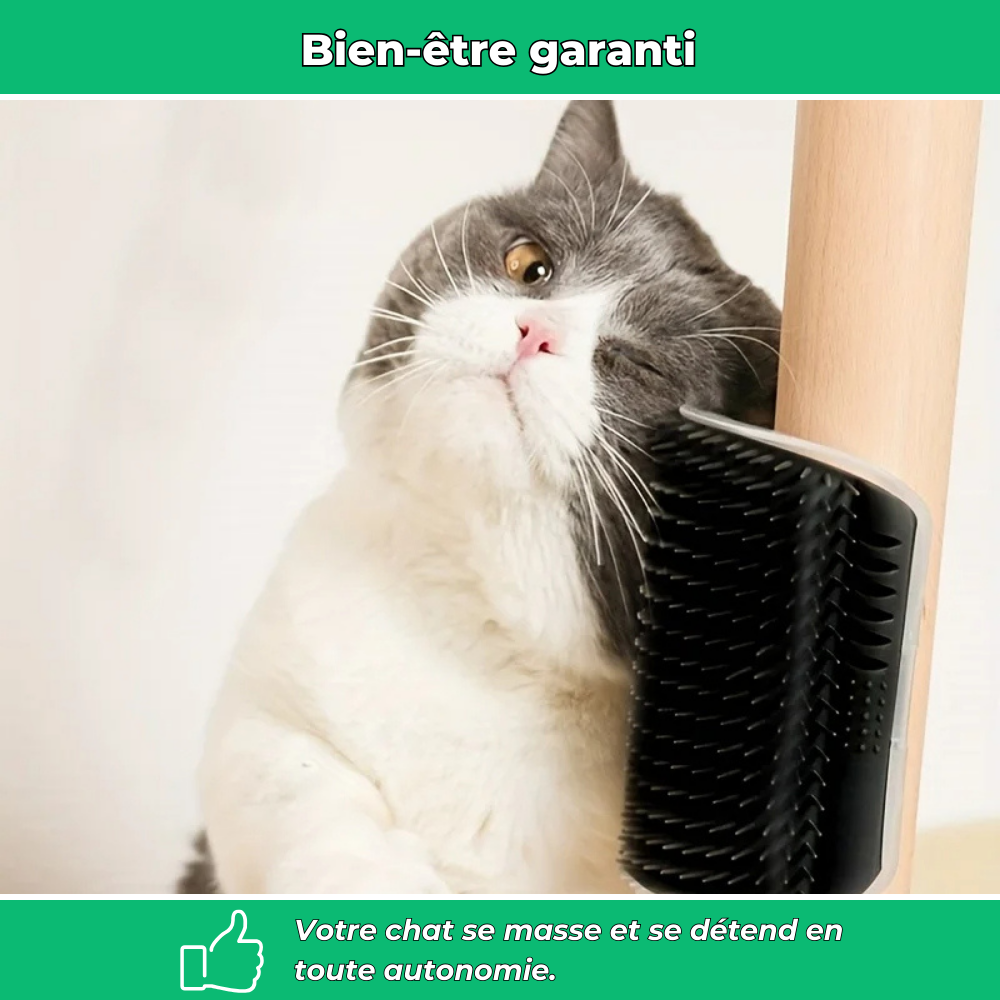 Brosse murale massante pour chat – Auto-toilettage et élimination des poils