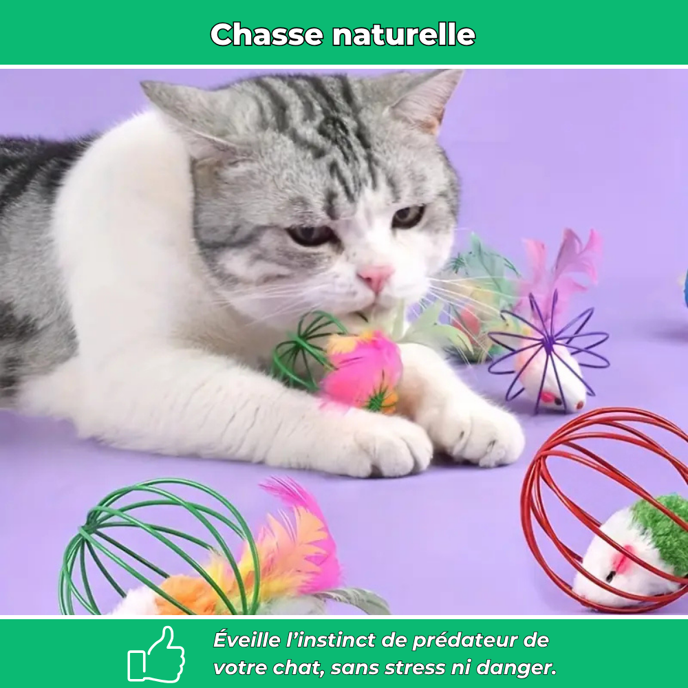 Balle cage interactive pour chat – Avec souris intégrée pour jeu stimulant