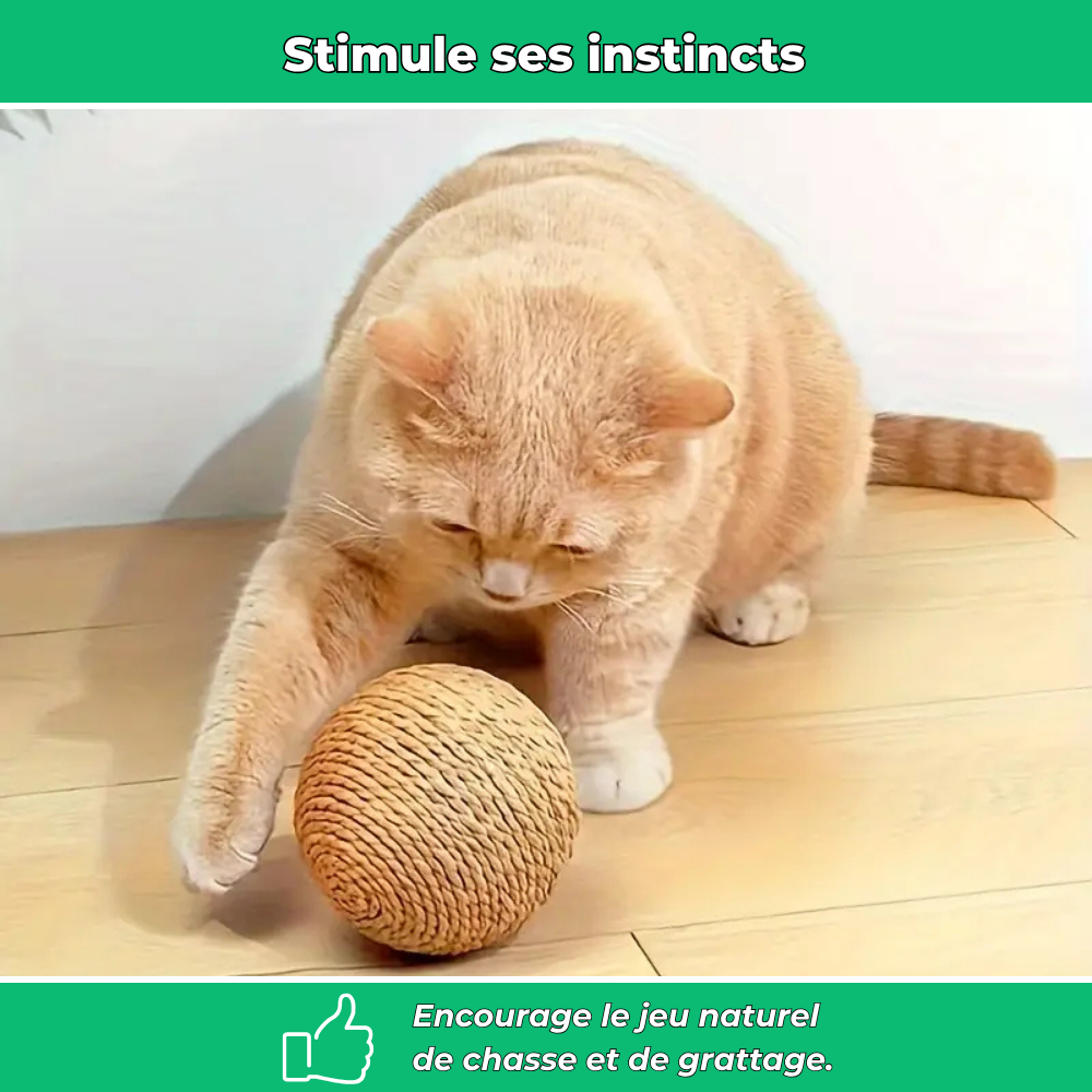Balle interactive à gratter pour chat – Jouet anti-stress et stimulant