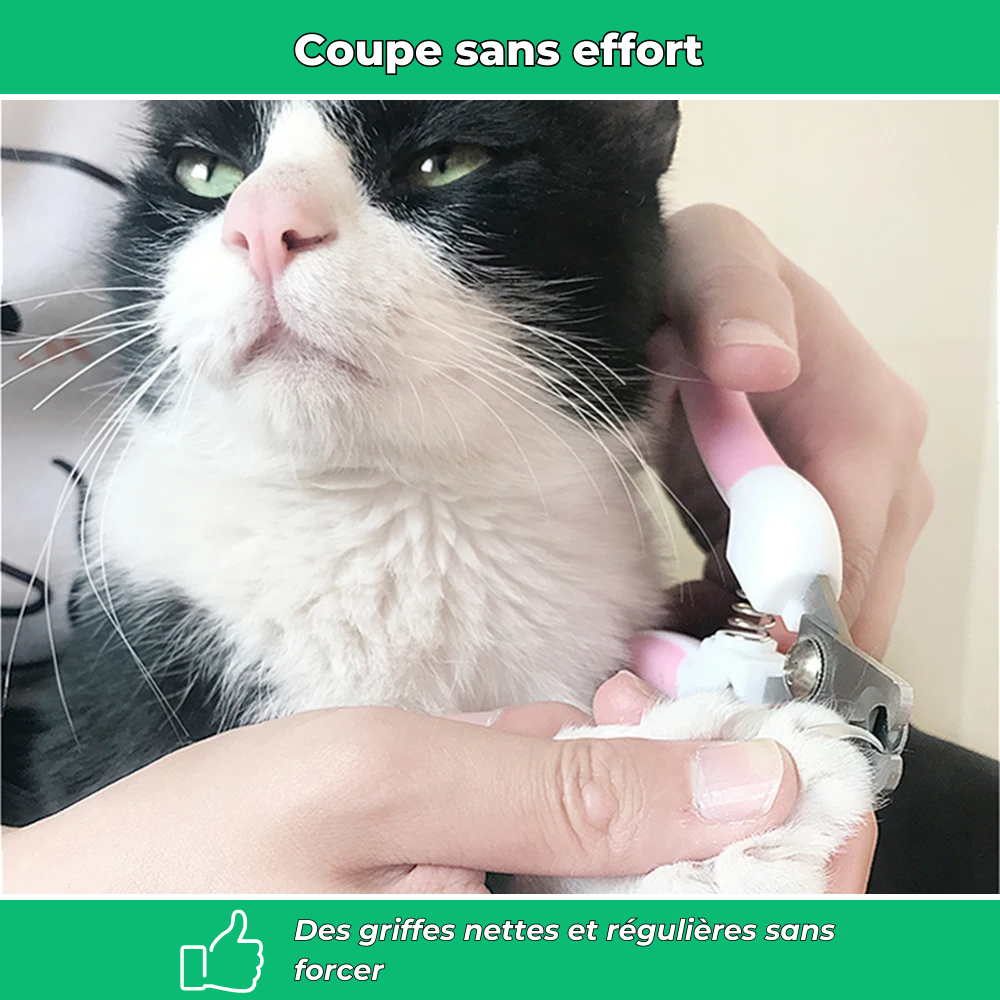 Coupe-griffes ergonomique pour chien et chat – Sécurité et confort de toilettage