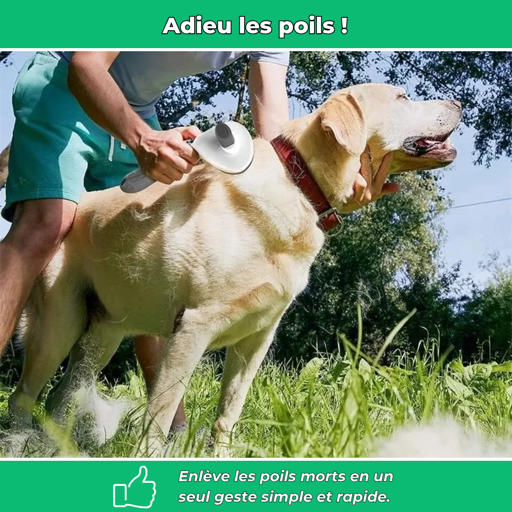 Brosse de toilettage pour chiens et chats – Anti-poils et facile à nettoyer