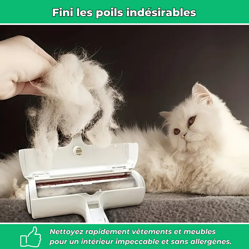 Brosse anti-poils réutilisable – Élimine poils de chiens et chats sur vêtements et meubles
