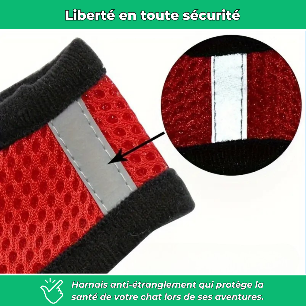 Harnais réglable avec laisse pour chat – Sécurité et confort en promenade