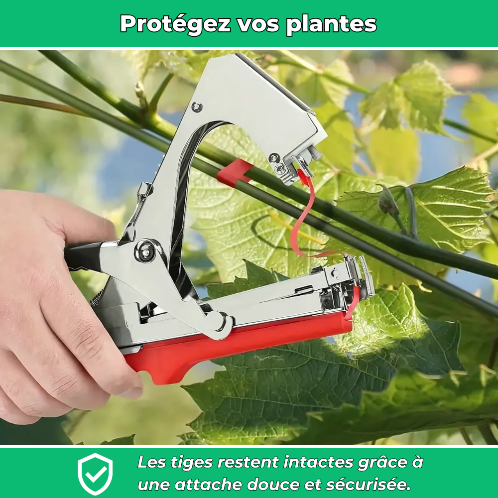 JardiClip Outil d'Attache pour Tiges de Plantes – Support Pratique pour Croissance des Plantes