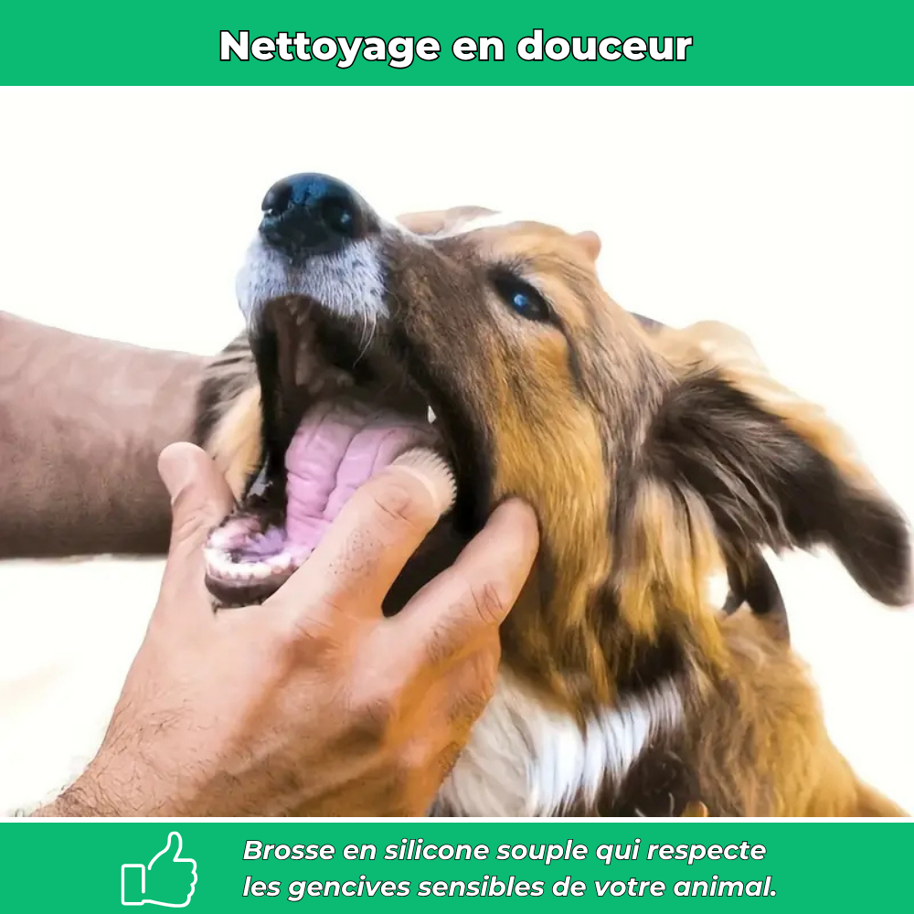 Brosse à dents en silicone pour chiens et chats – Hygiène dentaire et gencives saines