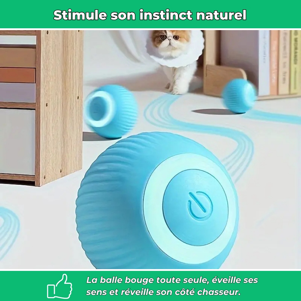 Balle interactive automatique pour chat – Jouet lumineux et stimulant