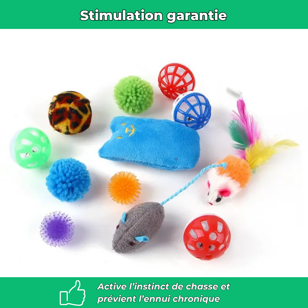 Lot de jouets interactifs pour chat – Stimule la chasse et l’activité quotidienne
