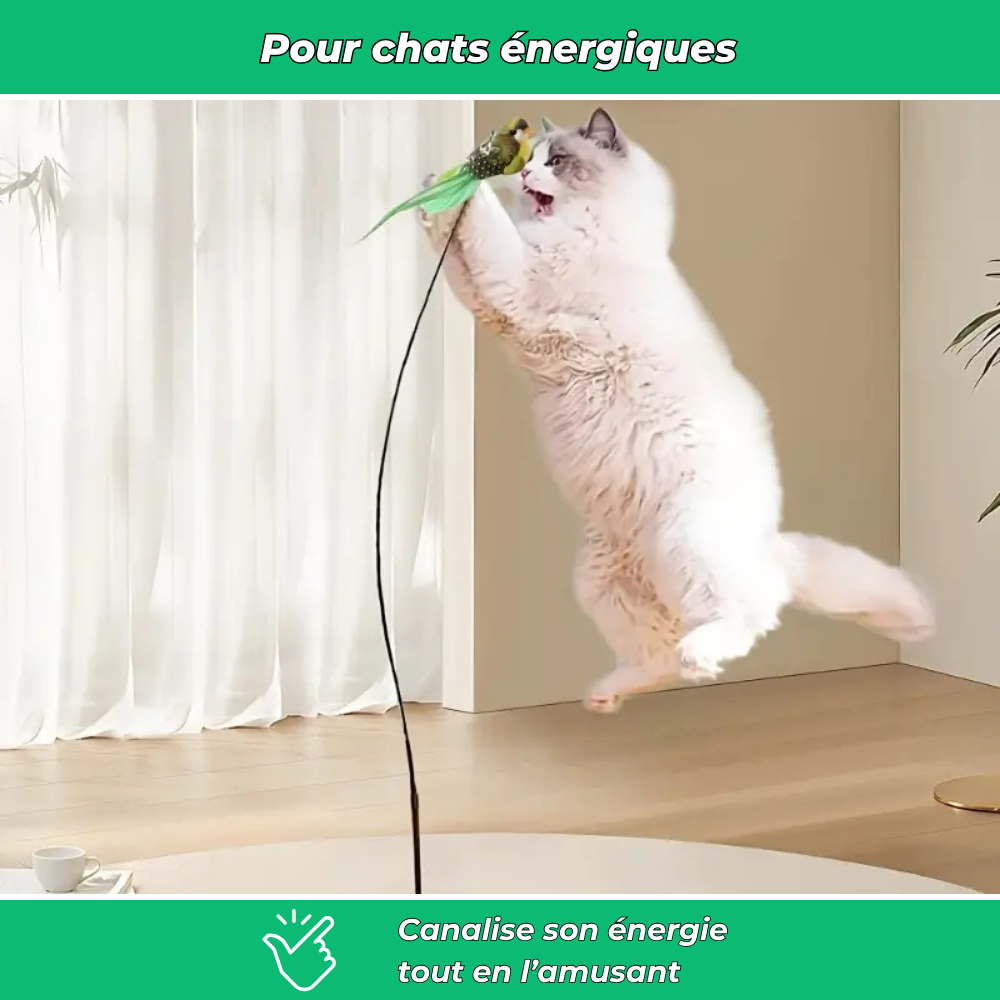 Jouet interactif pour chat avec oiseau – Stimule l’activité et la chasse