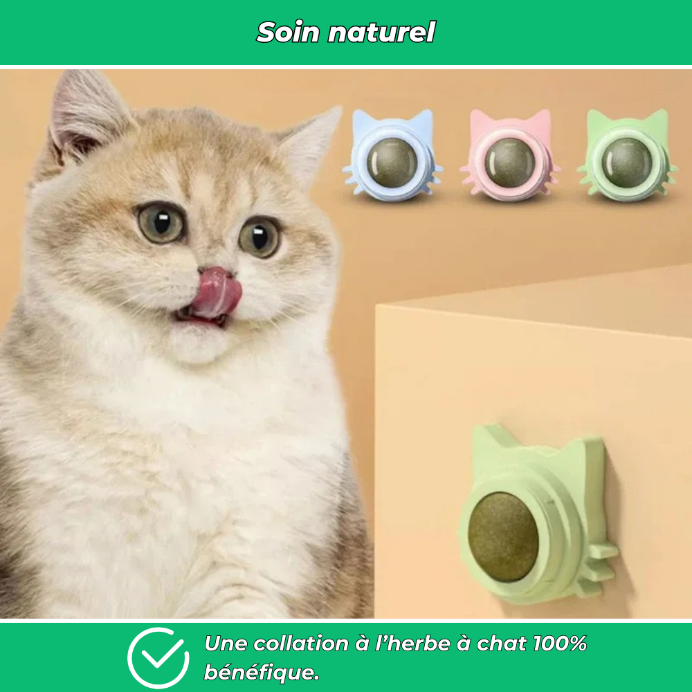 Sucette murale VetiPure à l’herbe à chat – Jouet relaxant et stimulant