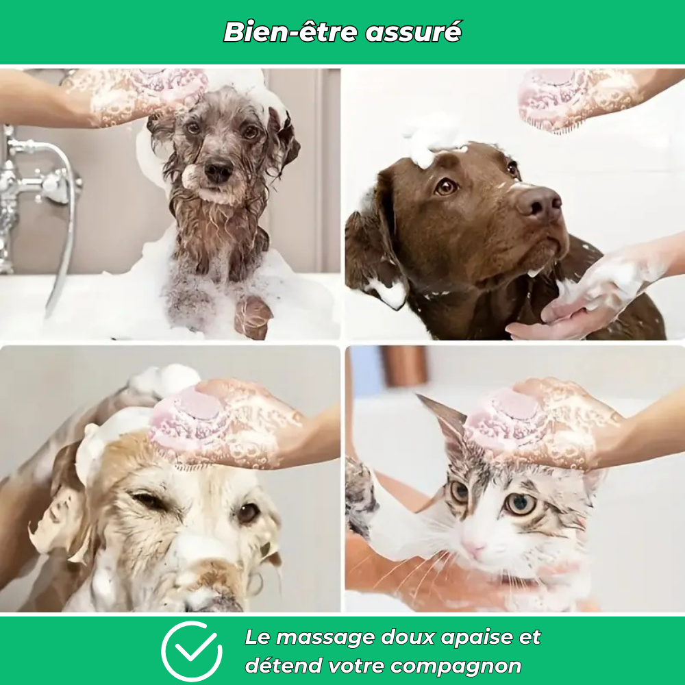 Brosse de bain en silicone pour chien et chat – Nettoyage doux et massage