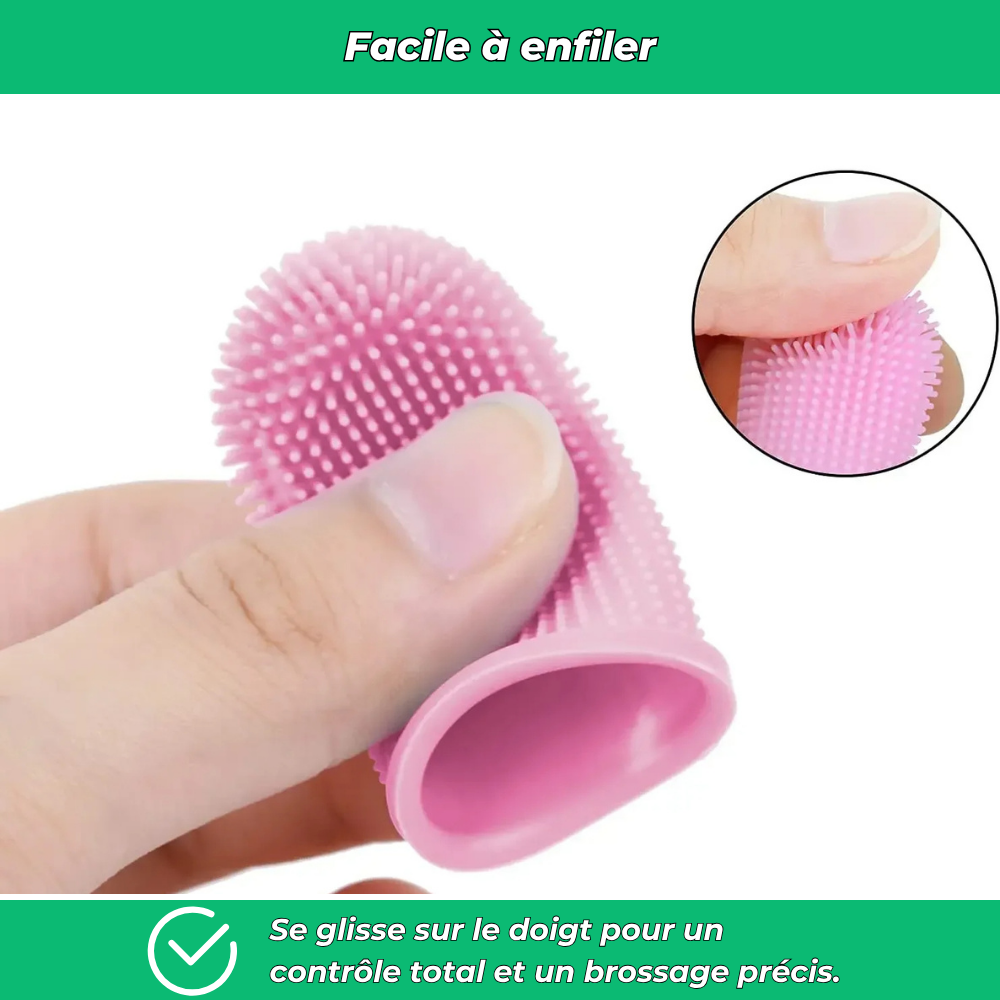 Brosse à dents en silicone pour chiens et chats – Hygiène dentaire et gencives saines