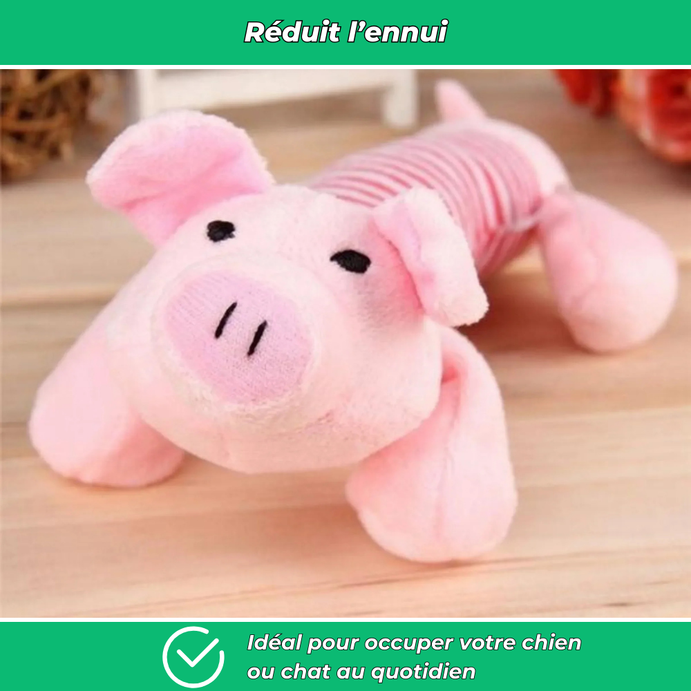 Jouet en peluche sonore pour chien – Résistant et stimulant