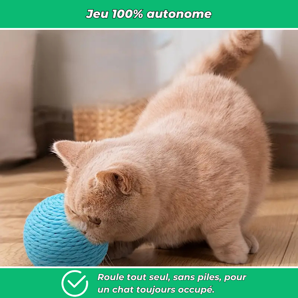 Balle interactive à gratter pour chat – Jouet anti-stress et stimulant