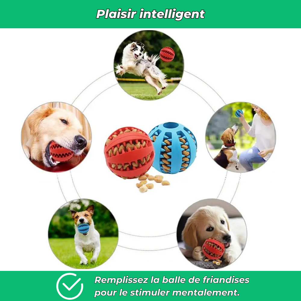 Balle en caoutchouc solide pour chien – Jouet à mâcher et nettoyage dentaire
