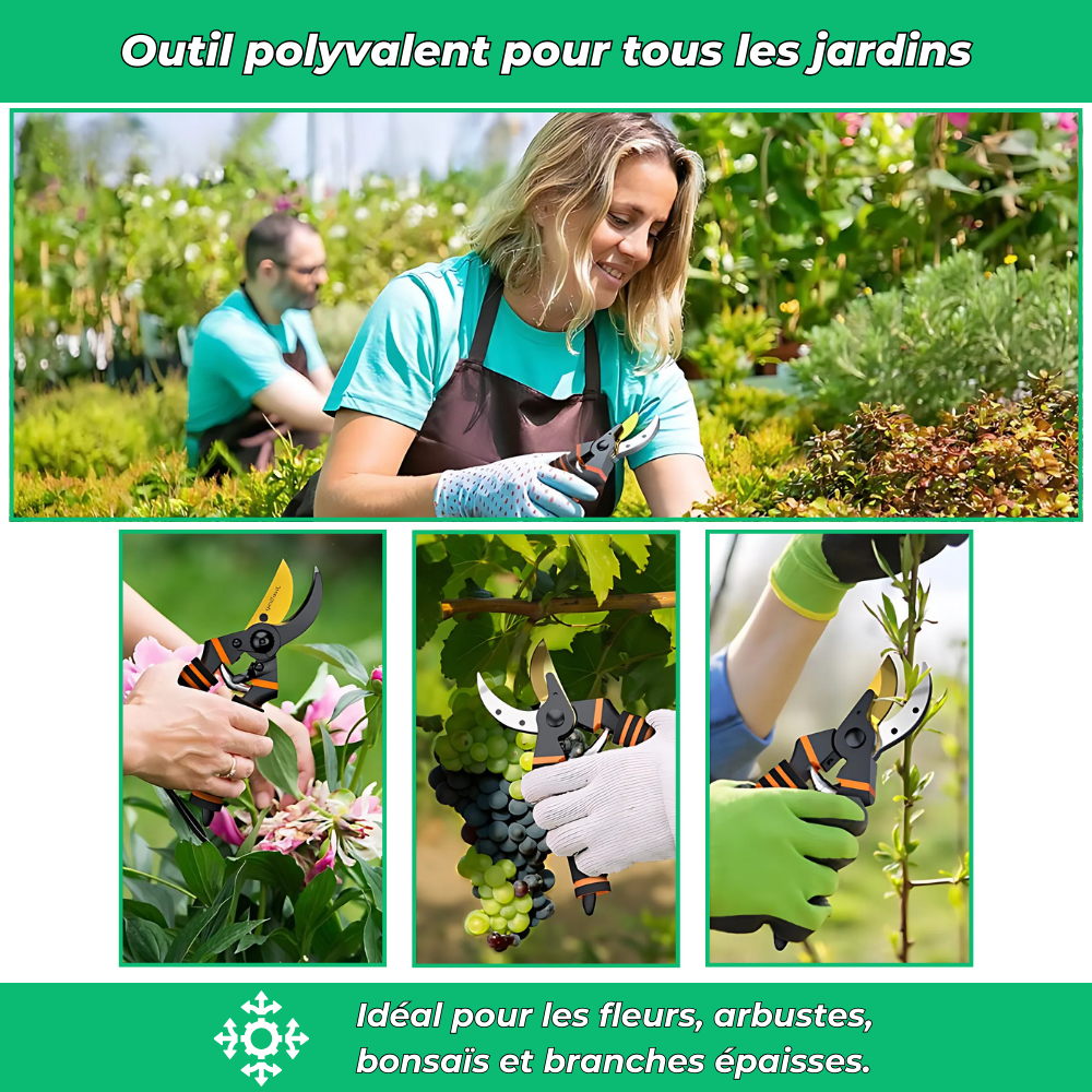 Sécateur Tranchant en Titane – Coupe Précise et Durable pour Jardinage Intensif