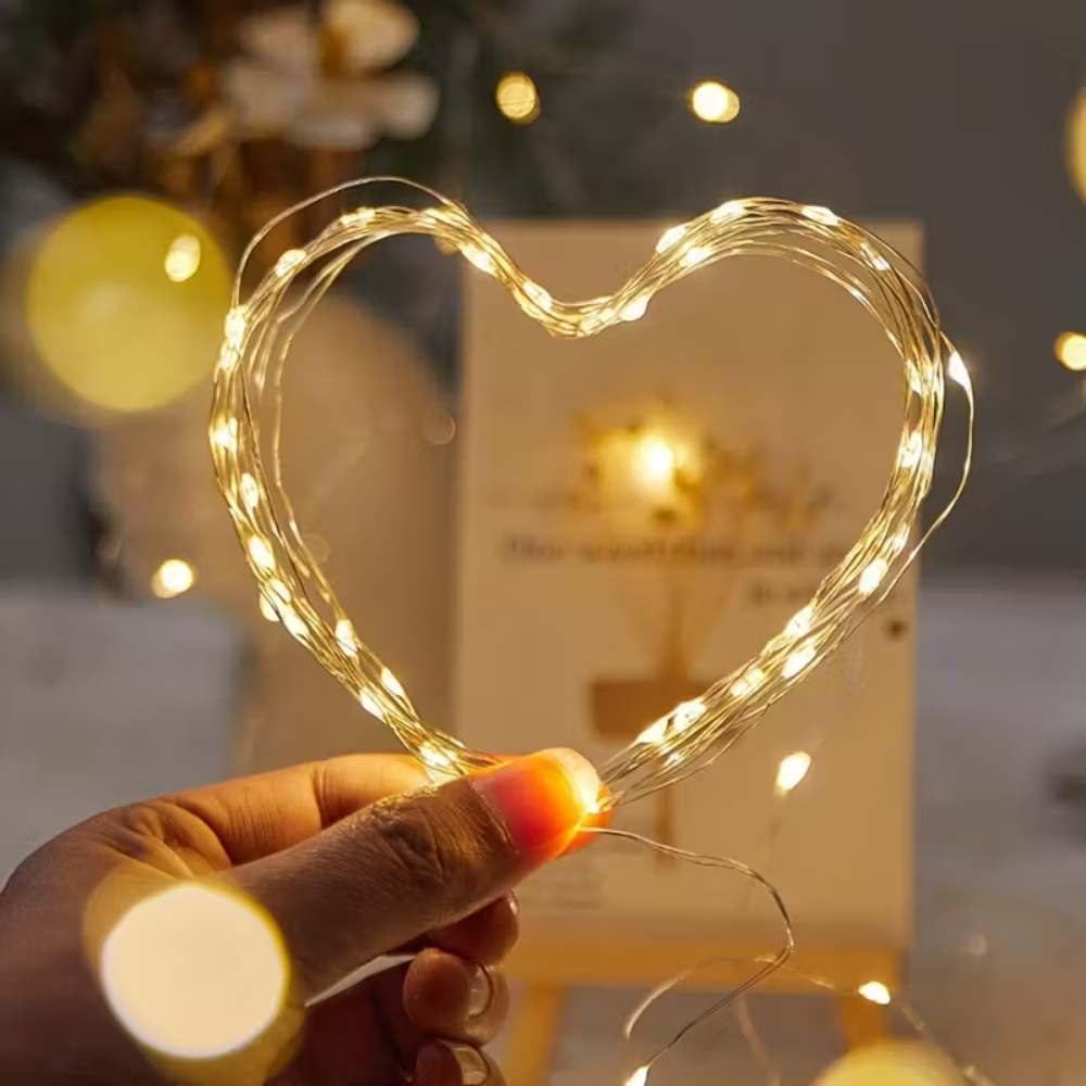 Guirlande LED Décorative 50/100 LED pour Noël