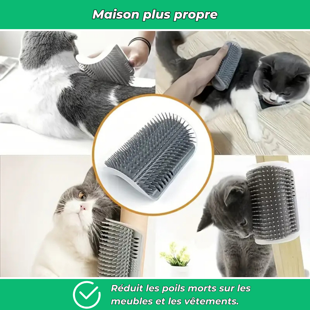 Brosse murale massante pour chat – Auto-toilettage et élimination des poils