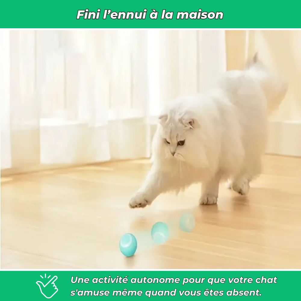 Balle interactive automatique pour chat – Jouet lumineux et stimulant