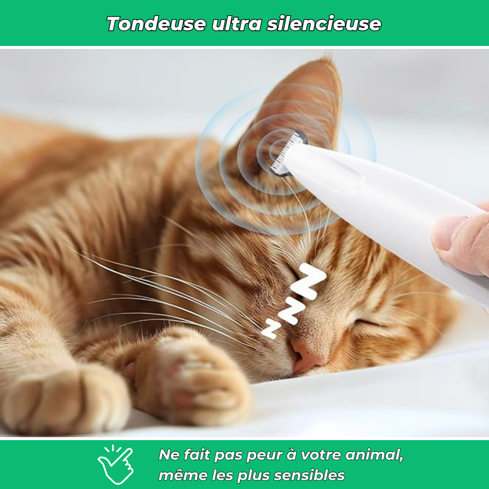 Tondeuse électrique silencieuse pour chiens et chats – Toilettage multi-zones sans stress